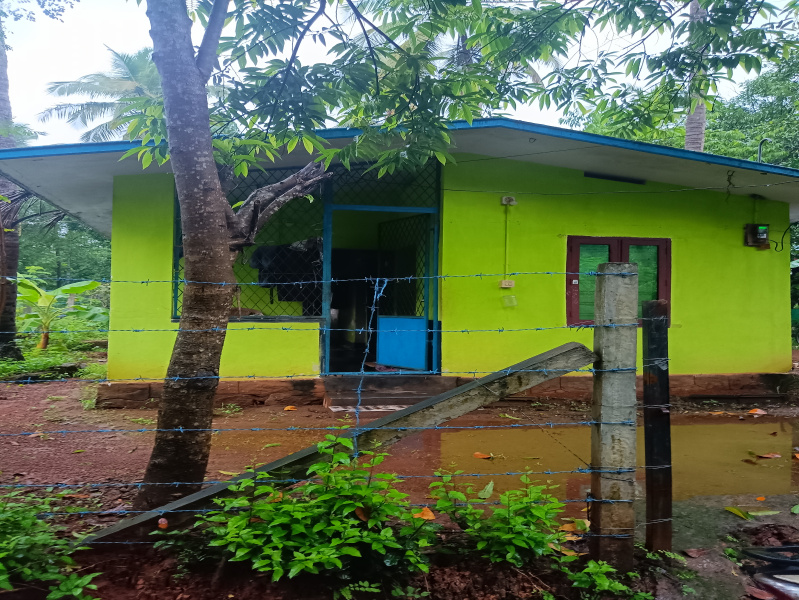 Varadiyam, Thrissur photo 3