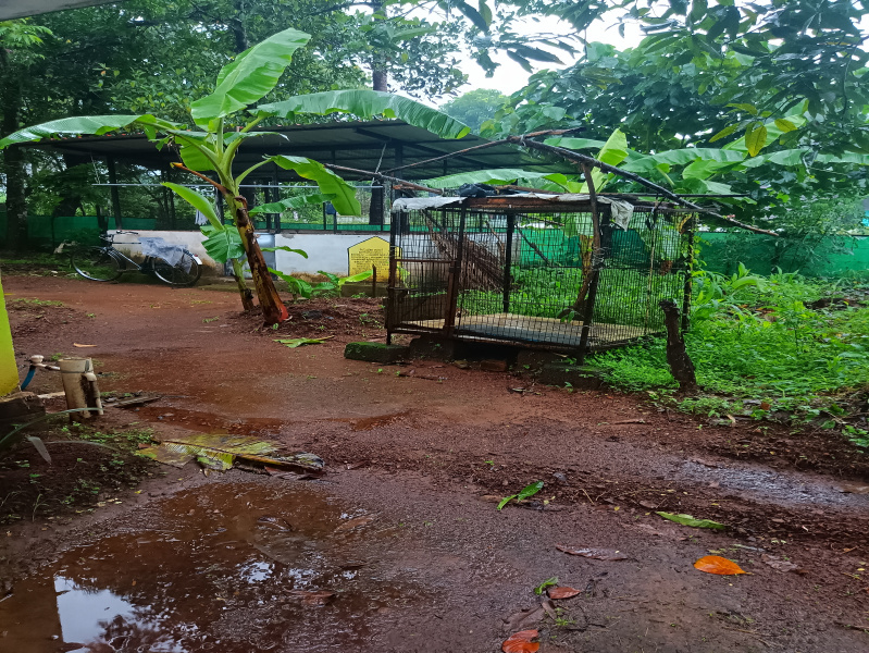 Varadiyam, Thrissur photo 5