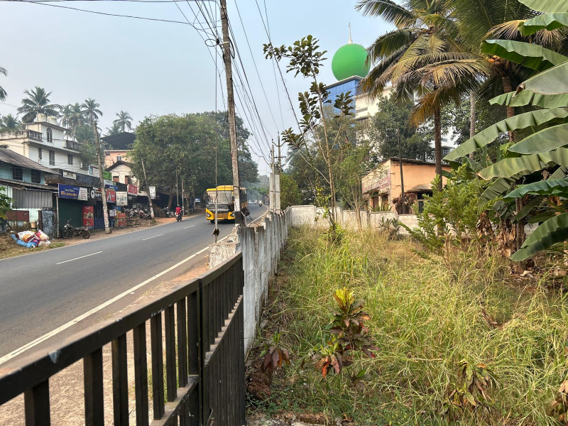 Marikunnu, Kozhikode photo 3