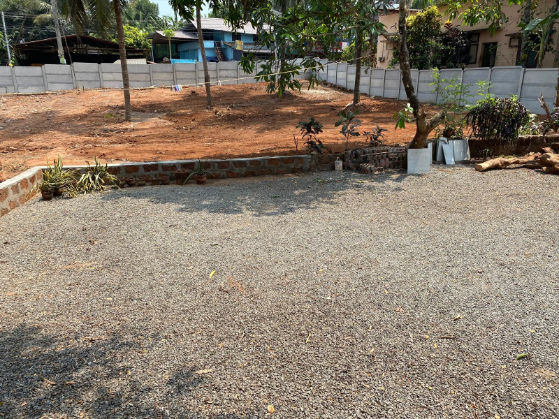 Marikunnu, Kozhikode photo 4