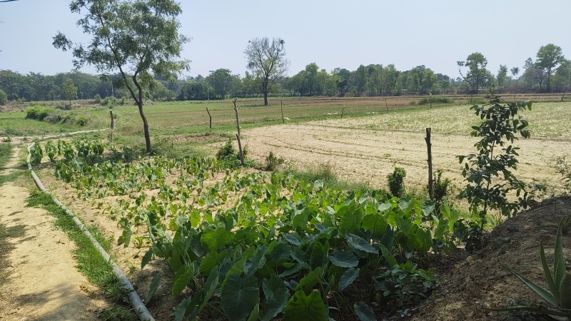 Ayodhya, Faizabad photo 3