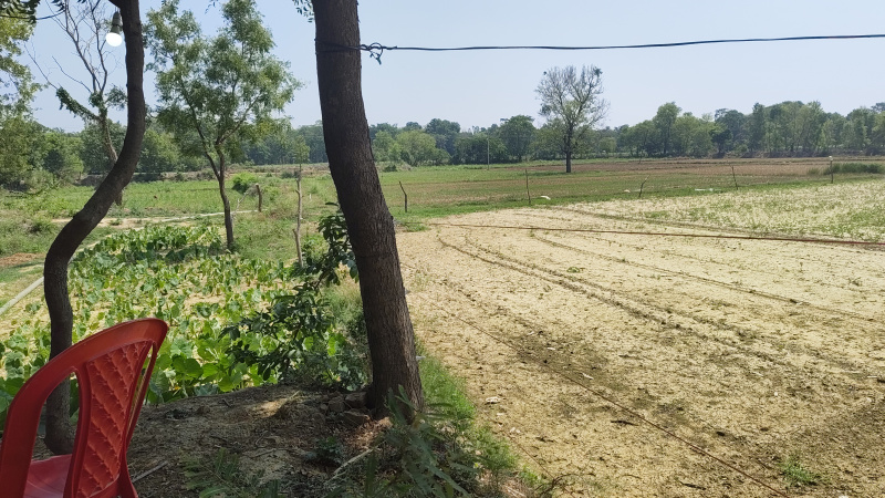 Ayodhya, Faizabad photo 4