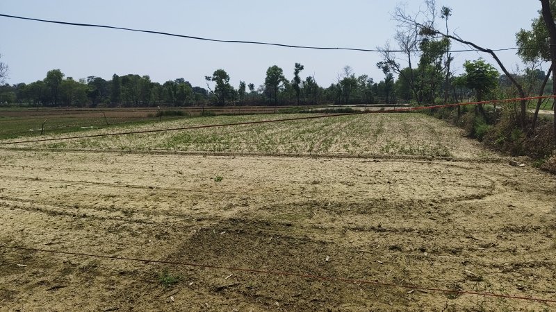 Ayodhya, Faizabad photo 5