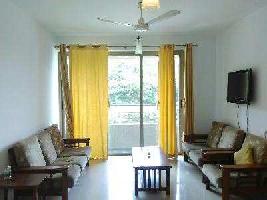 3 BHK Flat for Rent in Chandivali, Powai, Mumbai