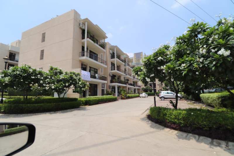 3 BHK Residential Apartment 1585 Sq.ft. for Sale in Thakkarwal, Ludhiana