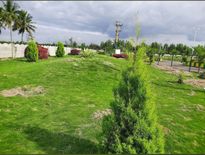  10 Ares Residential Plot for Sale in Mulbagal, Kolar