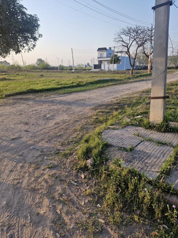 Bahadurgarh, Patiala photo 4