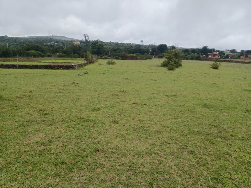 Sawantwadi, Sindhudurg photo 3