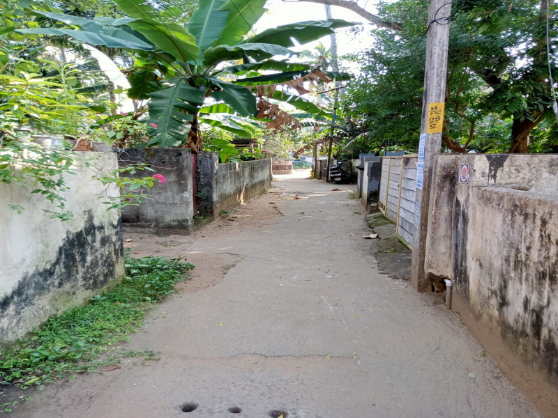 Manacaud, Thiruvananthapuram photo 3