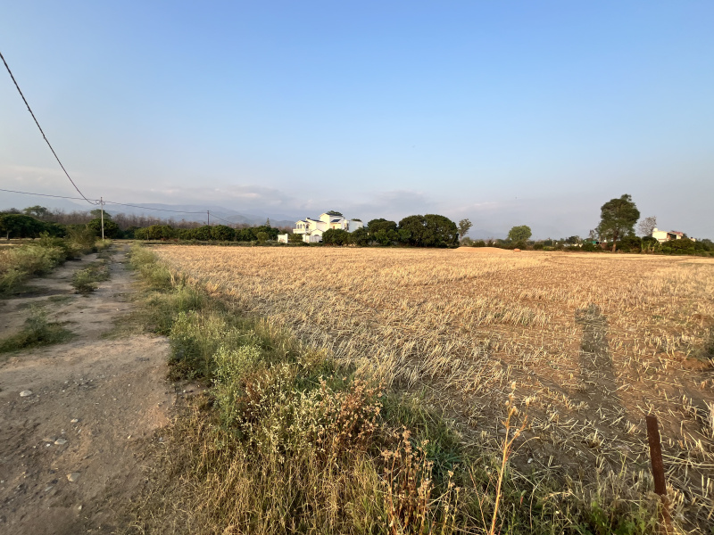  1 Acre Residential Plot for Sale in Kaladhungi Road, Haldwani