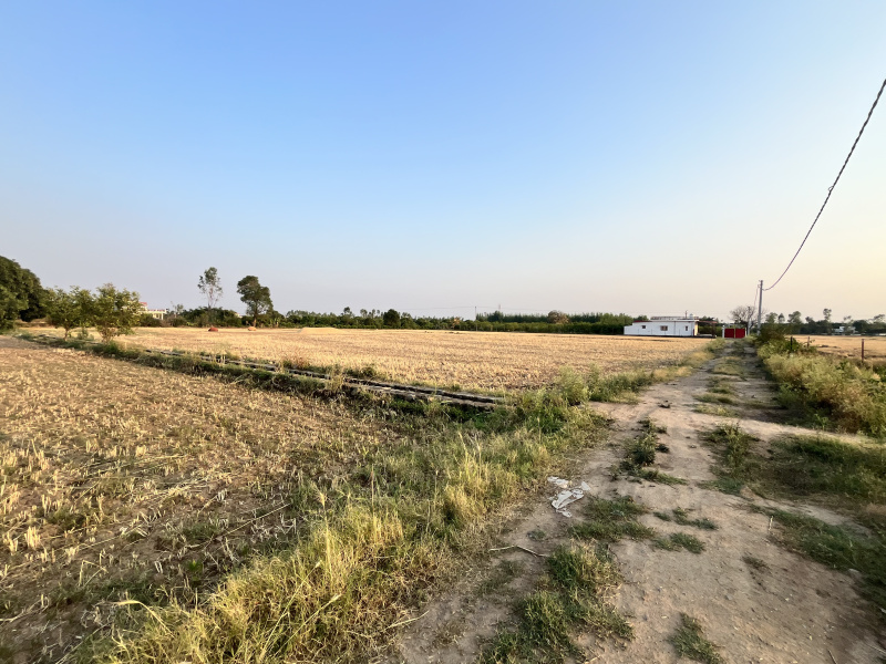  1 Acre Residential Plot for Sale in Kaladhungi Road, Haldwani