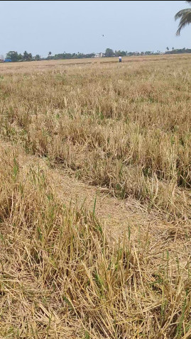 Pithapuram, East Godavari photo 4