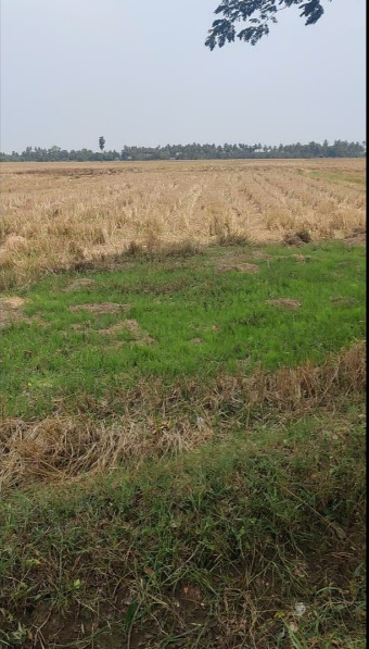Pithapuram, East Godavari photo 5