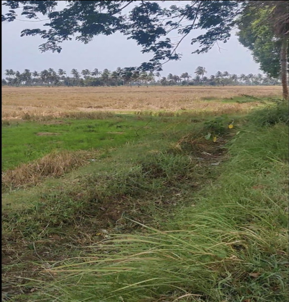 Pithapuram, East Godavari photo 3