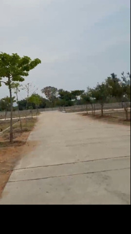 Bairagi Patteda, Tirupati photo 5