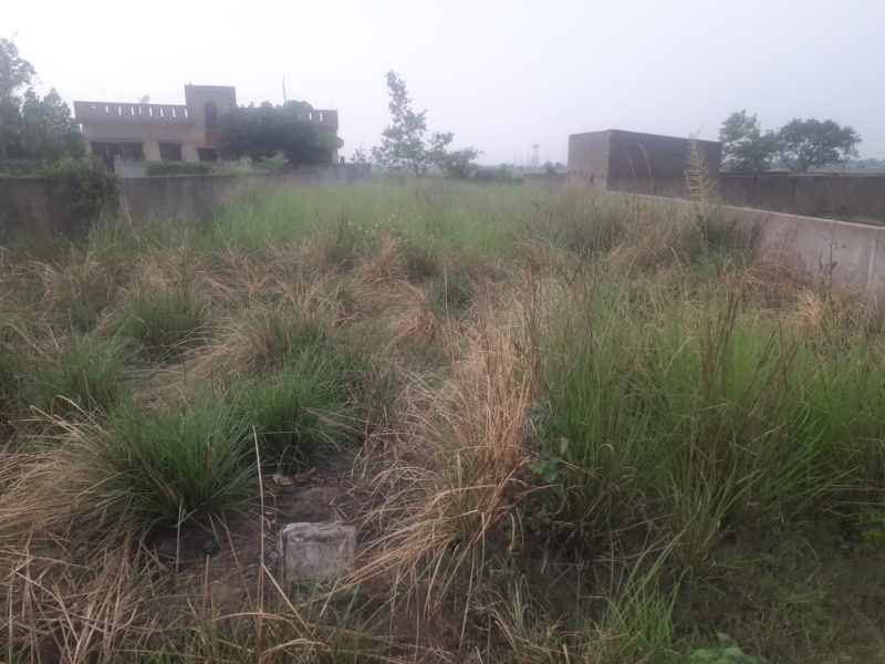 Faridpur, Durgapur photo 3