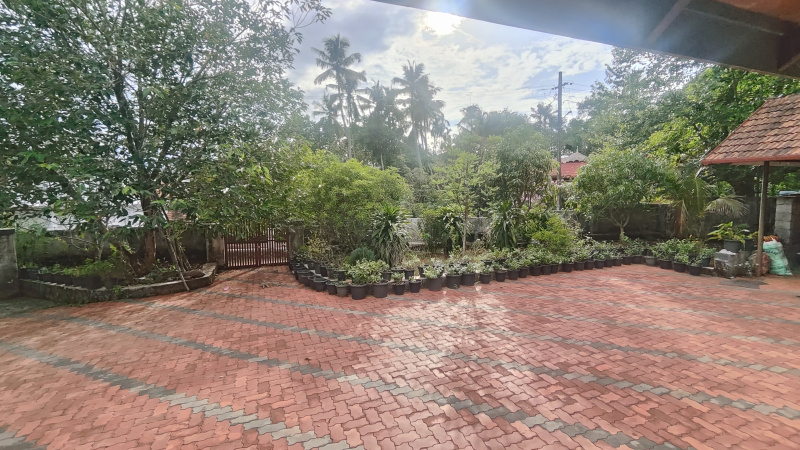 Avinissery, Thrissur photo 4