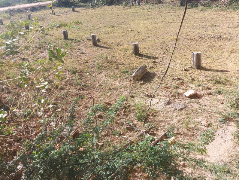 Panchsheel Nagar, Ajmer photo 4