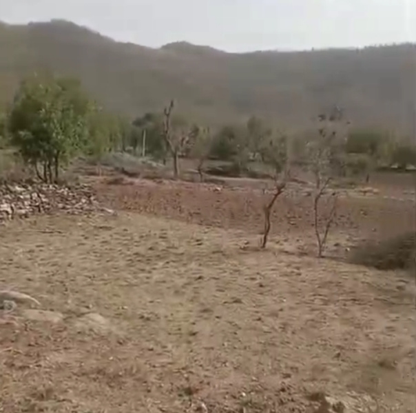  104544 Sq.ft. Agricultural/Farm Land for Sale in Tehla, Alwar