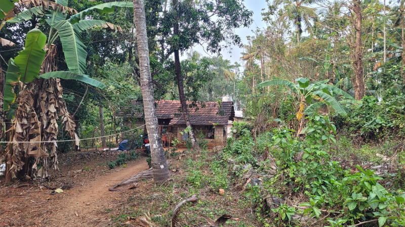 Pattikkad, Thrissur photo 3