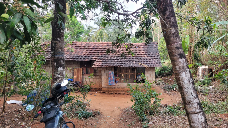 Pattikkad, Thrissur photo 4