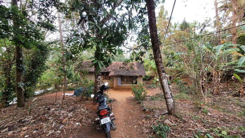 Pattikkad, Thrissur photo 5
