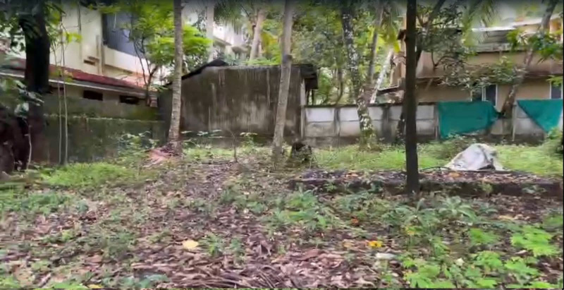  11 Cent Residential Plot for Sale in Guruvayur, Thrissur
