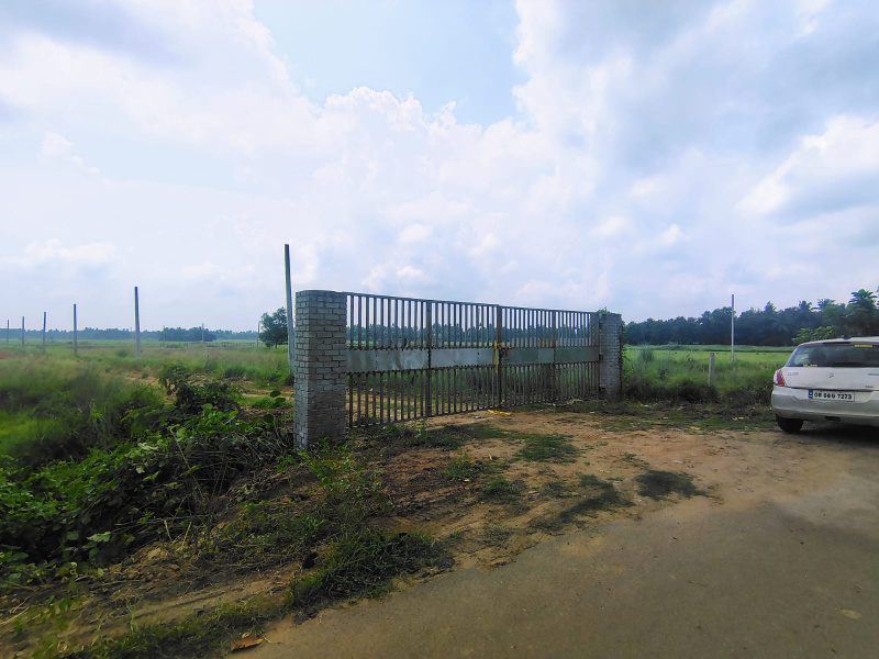 Malatipatpur, Puri photo 3
