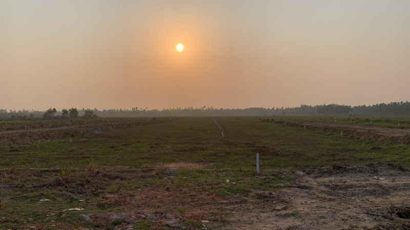 Malatipatpur, Puri photo 2