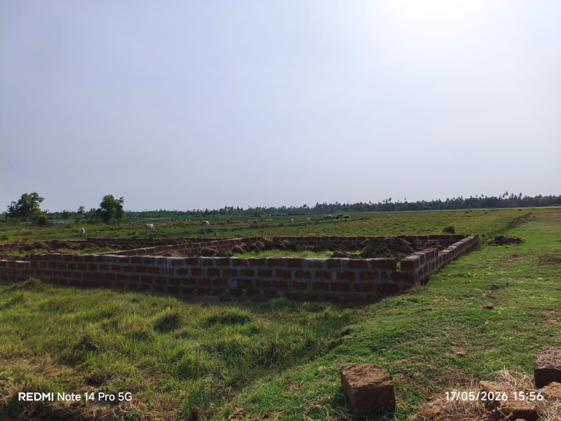 Malatipatpur, Puri photo 5