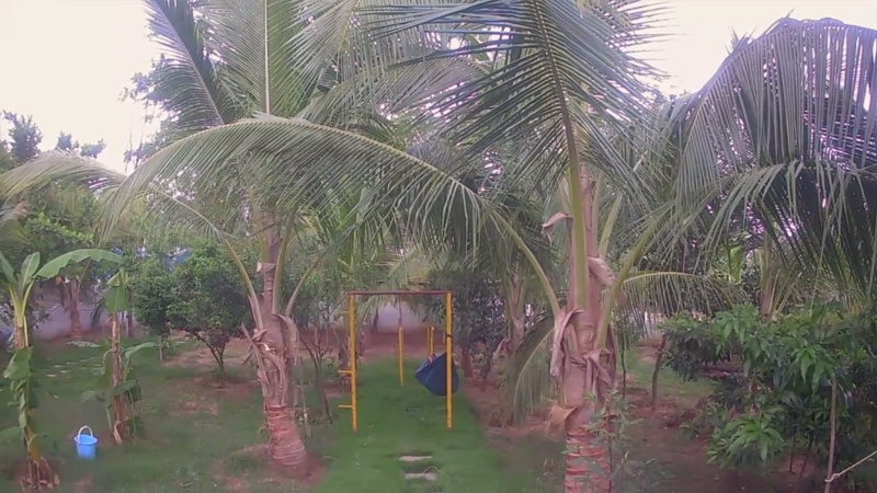 Narsapur, Medak photo 5