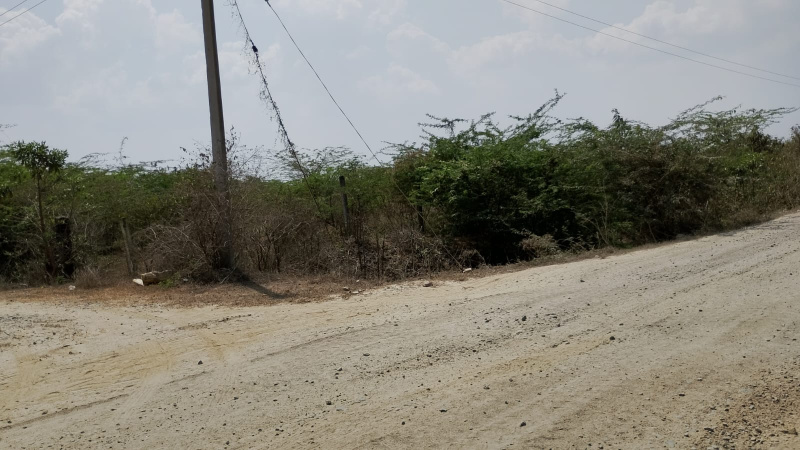 Cheyyar, Tiruvannamalai photo 2