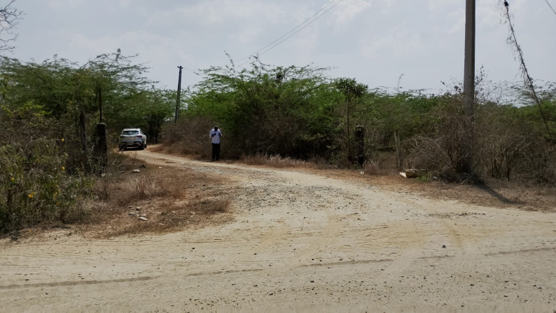 Cheyyar, Tiruvannamalai photo 3