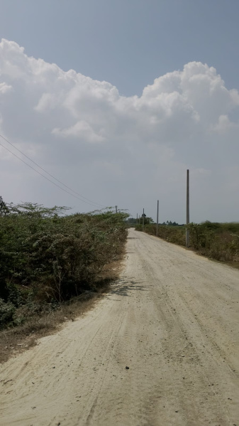Cheyyar, Tiruvannamalai photo 5