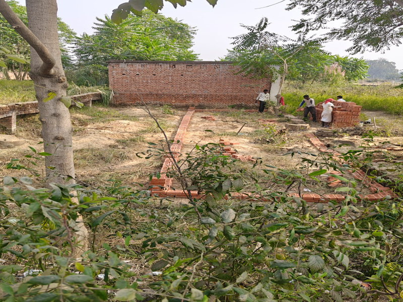 Andava, Prayagraj photo 3