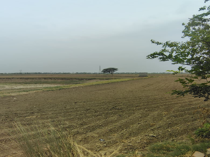 Badli, Jhajjar photo 2