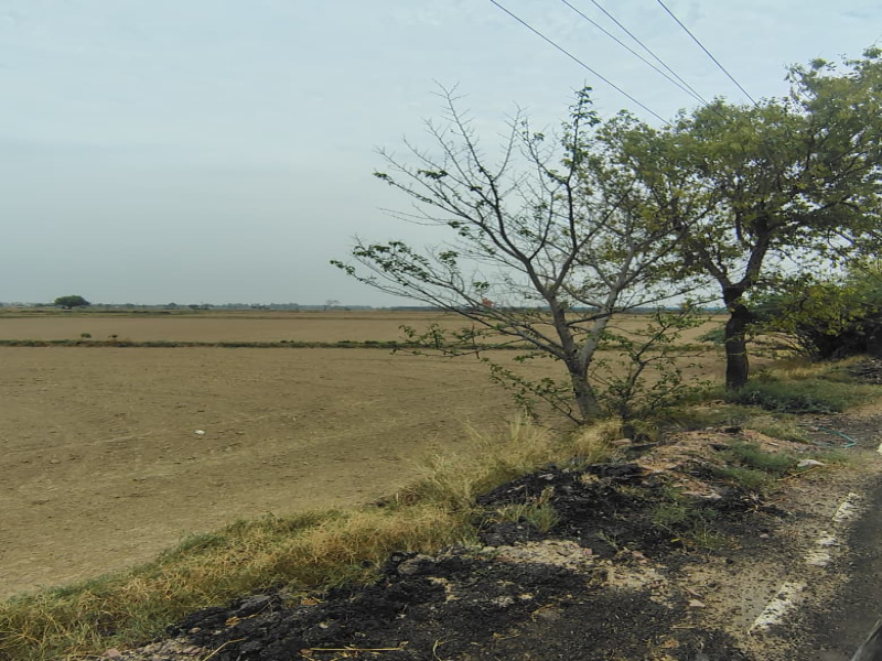 Badli, Jhajjar photo 5