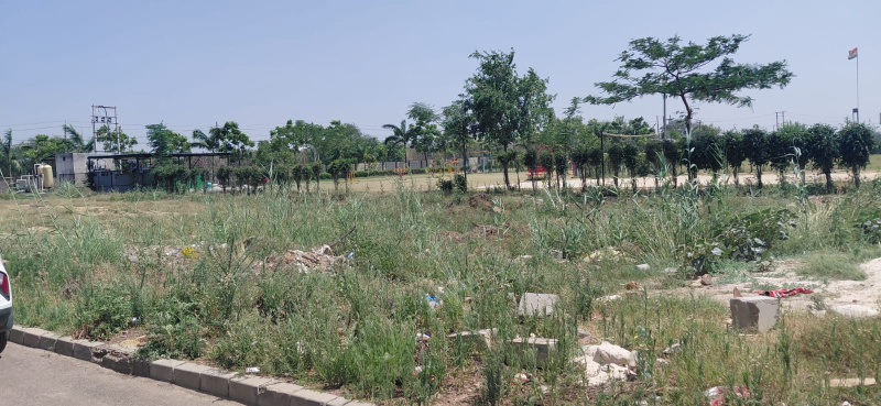 Sector 36, Bahadurgarh photo 5