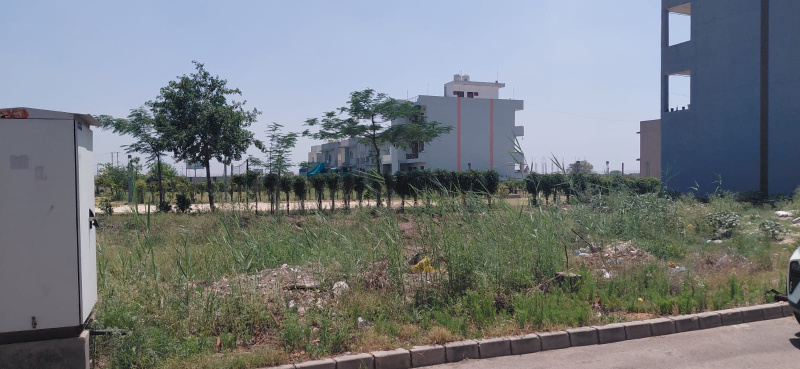 Sector 36, Bahadurgarh photo 2
