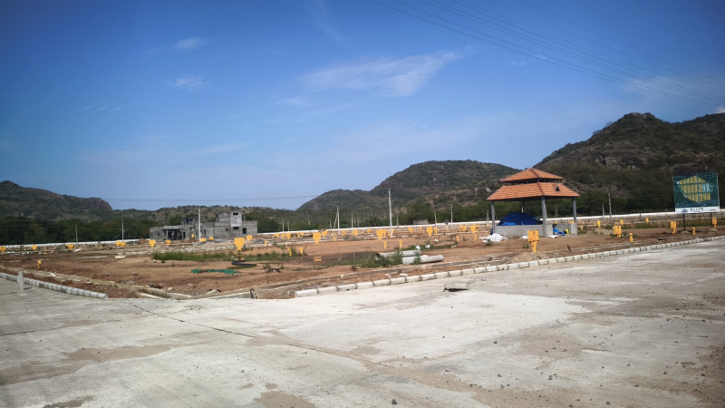 Dokiparru, Guntur photo 4