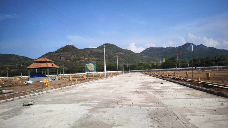 Dokiparru, Guntur photo 5