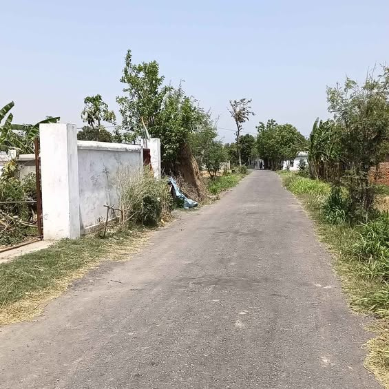 Khatima, Udham Singh Nagar photo 3