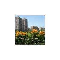 2 BHK Flat for Sale in Wadala East, Mumbai