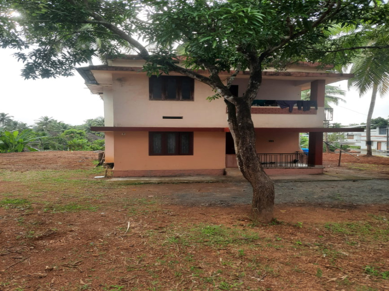 Malaparambe, Kozhikode photo 5