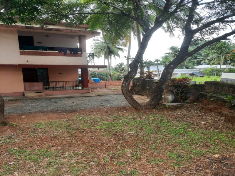 Malaparambe, Kozhikode photo 4