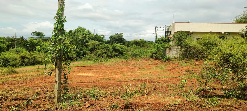 Tadasinakoppa, Dharwad photo 3