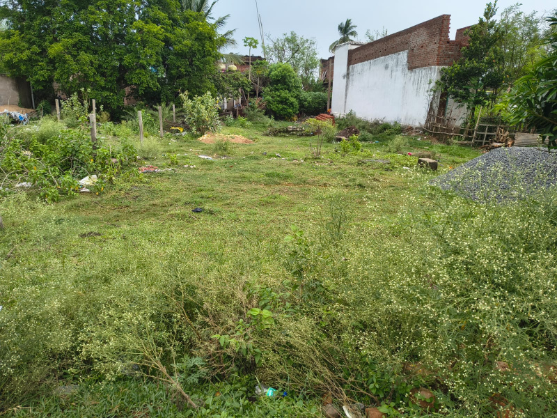 Ankuli, Berhampur photo 3