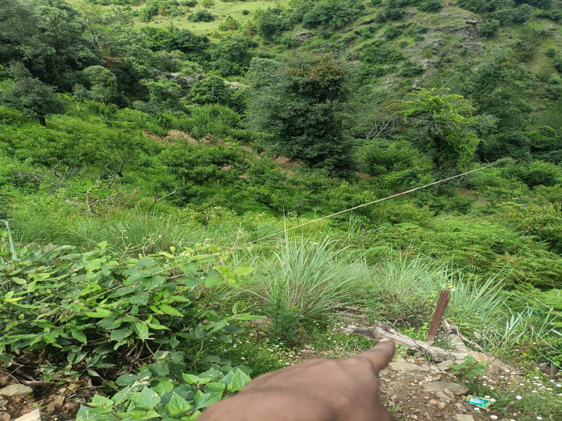 Dhari, Nainital photo 4
