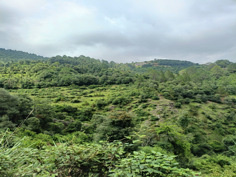 Dhari, Nainital photo 3