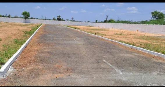 Marungulam, Thanjavur photo 3